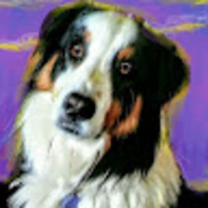 Meet your Posher, Dana